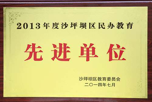 2013沙坪坝区民办先进单位