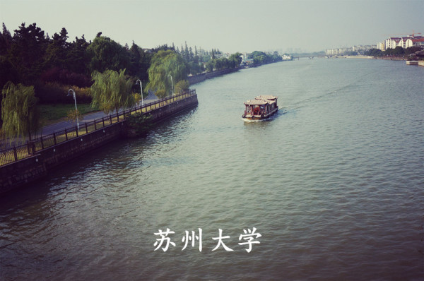 艺考 艺考
