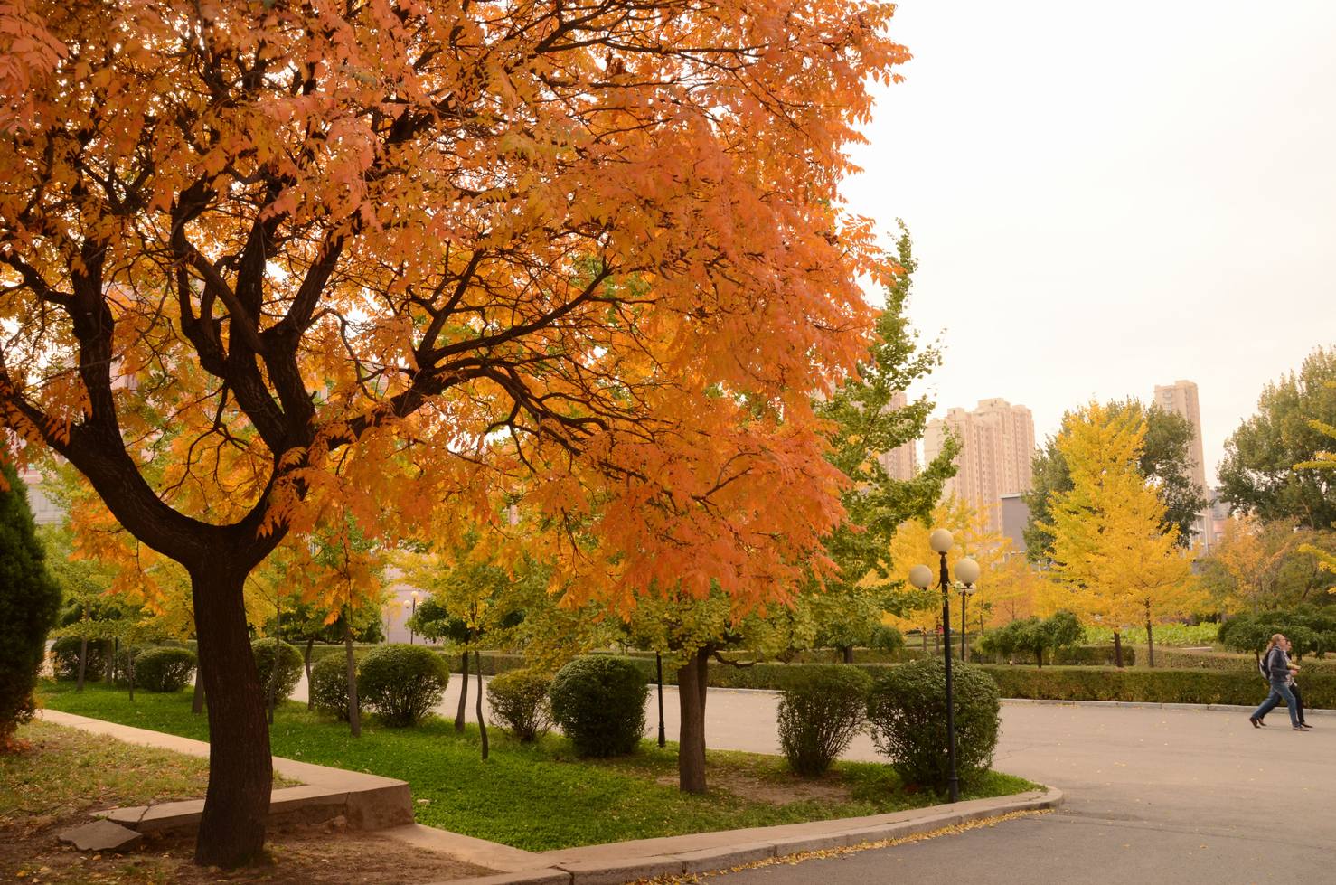 鞍山师范学院