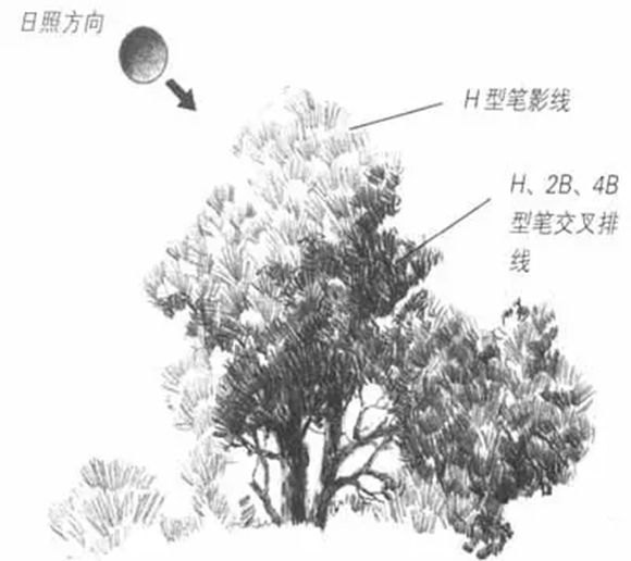 美术艺考培训
