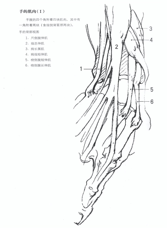 速写教学