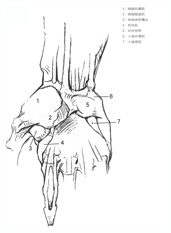 速写教学