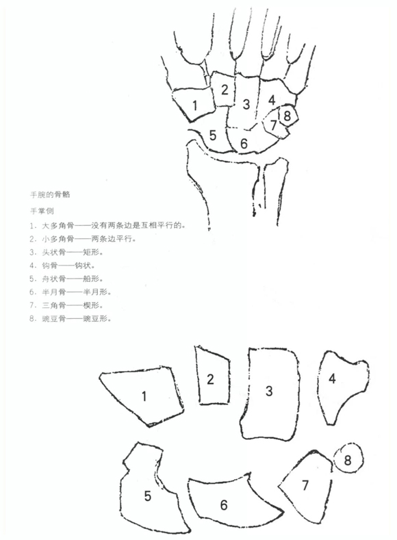 速写教学