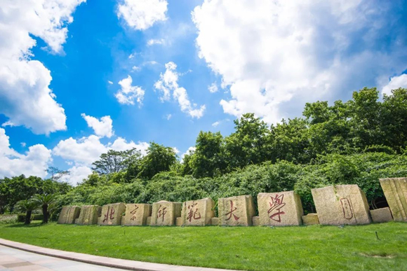 美术艺考培训