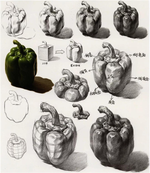 美术艺考培训