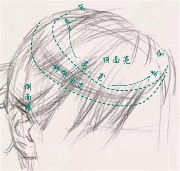 素描教学
