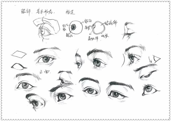 速写教学