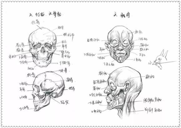 速写教学