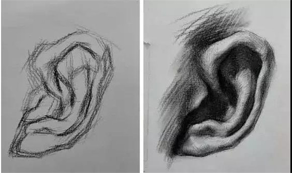 素描教学