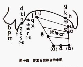 音素舌位综合示意图