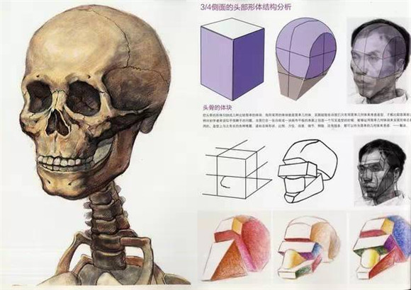 素描教学