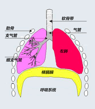 声乐教学