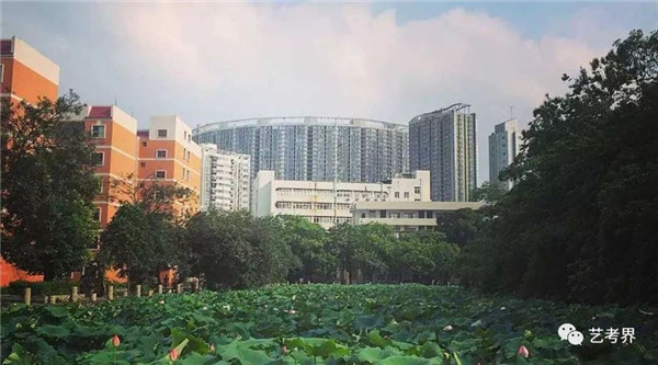 广西大学