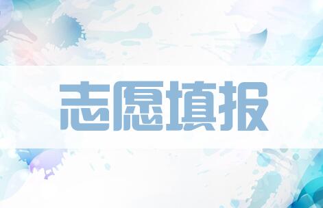 美术艺考培训
