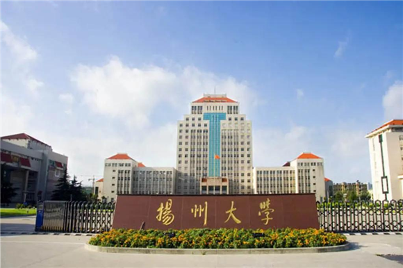 美术艺考培训