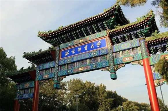 美术艺考培训
