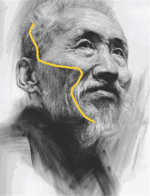 怎样画好素描中的明暗交界线?