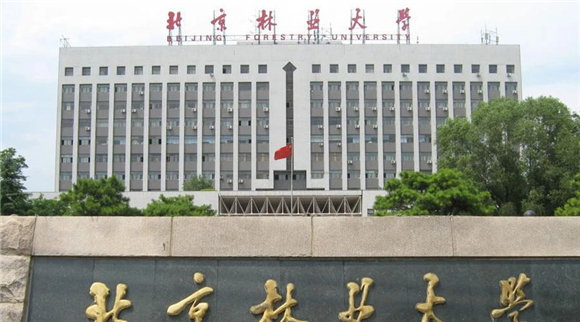 美术艺考培训