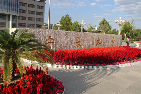 美术艺考培训