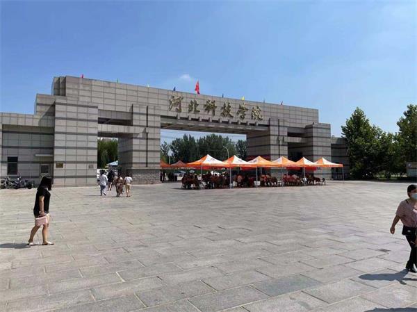 美术艺考培训