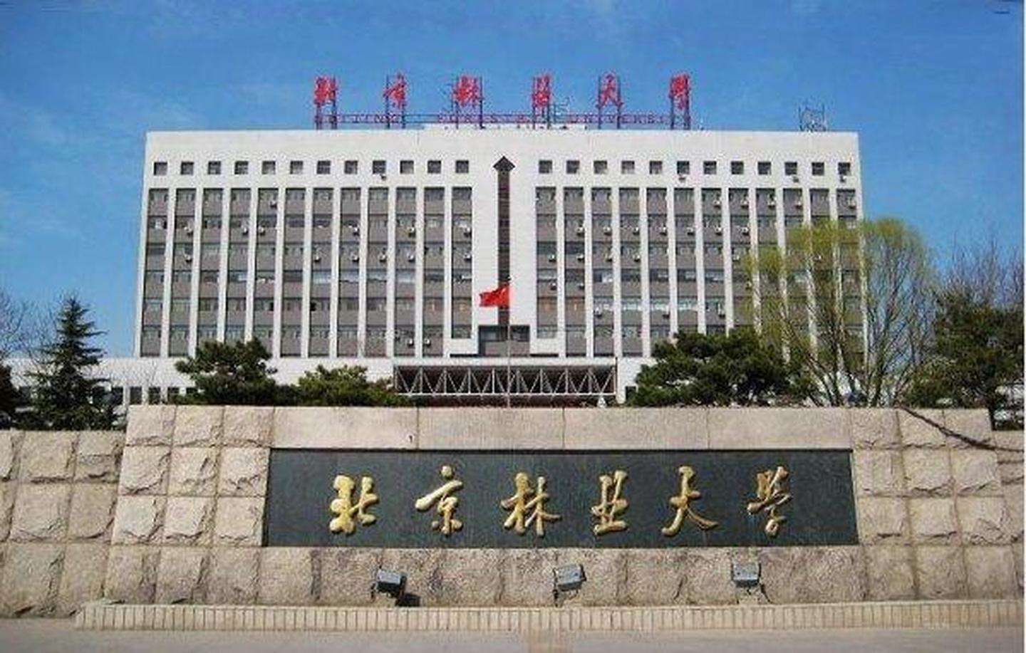 美术艺考培训
