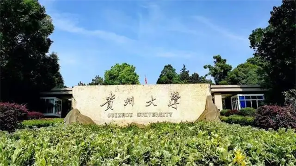美术艺考培训