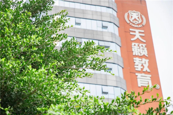 美术艺考培训