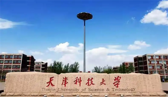 美术艺考培训