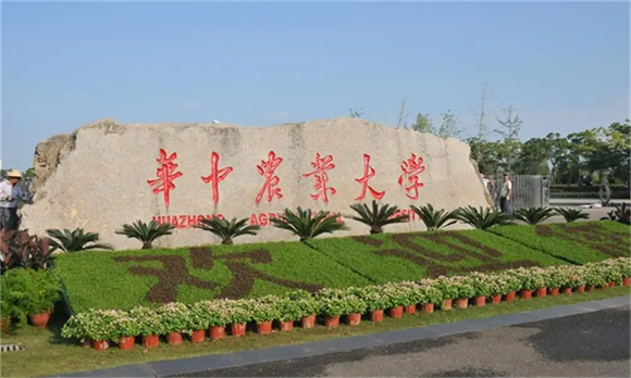 美术艺考培训