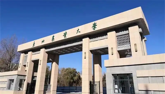美术艺考培训