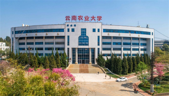 美术艺考培训
