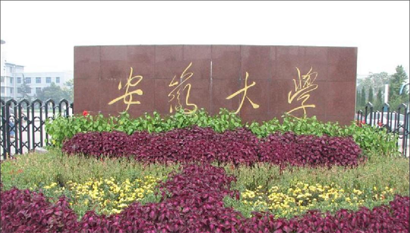 美术艺考培训