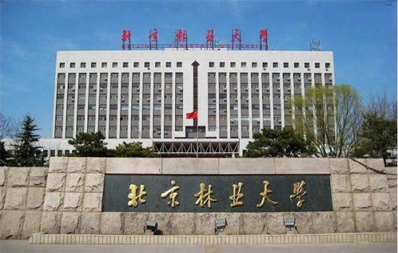 美术艺考培训