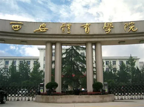 美术艺考培训