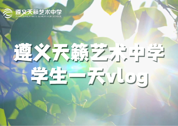 美术艺考培训