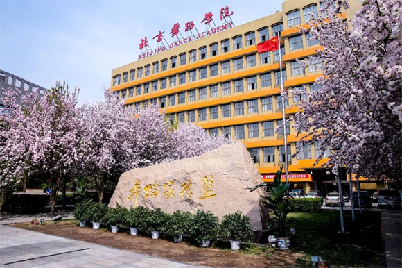 美术艺考培训