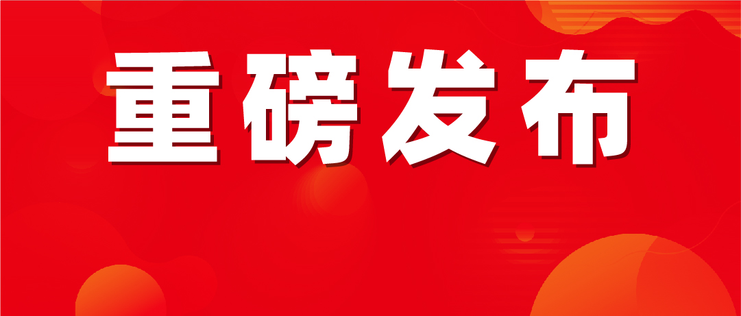 美术艺考培训